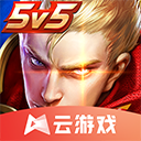 冰球联盟app下载截图2